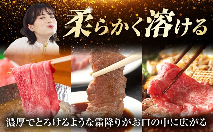 定期便 特選 飛騨牛 肩ロース しゃぶしゃぶ 焼肉 すき焼き / 牛肉 飛騨牛 和牛 白川町