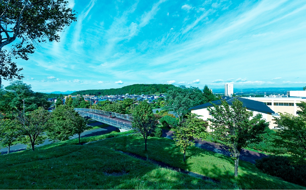 【7月5日（日）開催】「Fビレッジハーフマラソン2026」Fビレッジラン（3km）の部 参加権【お一人様1回】