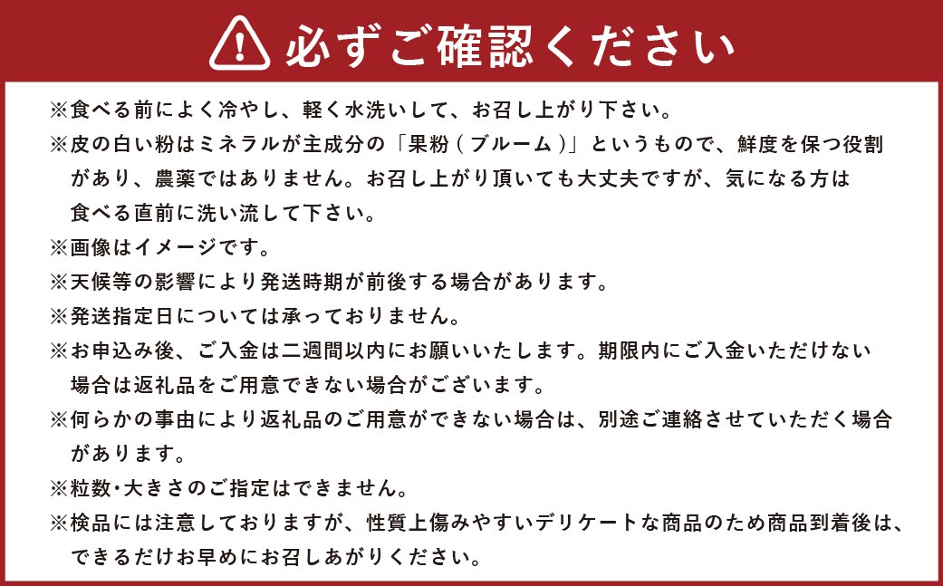 大粒ぶどうの詰合せ 約2kg×3回 計約6kg