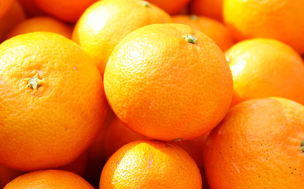 クレメンティン 5kg 【栽培期間中 減農薬】