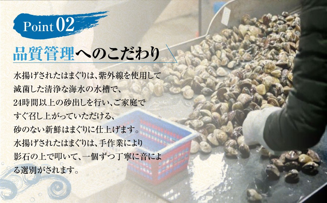 マルヨシ水産　桑名産中粒天然蛤　1kg_はまぐり