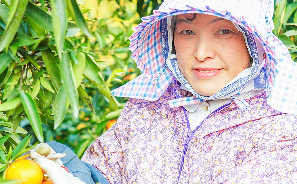 クレメンティン 5kg 【栽培期間中 減農薬】