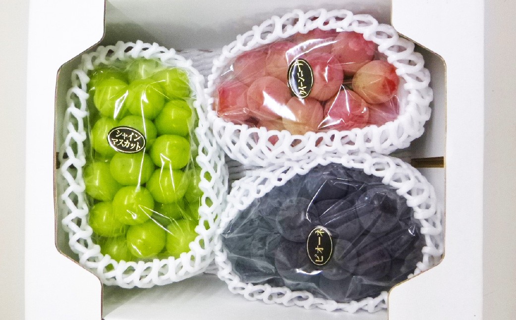 大粒ぶどうの詰合せ 約2kg×3回 計約6kg