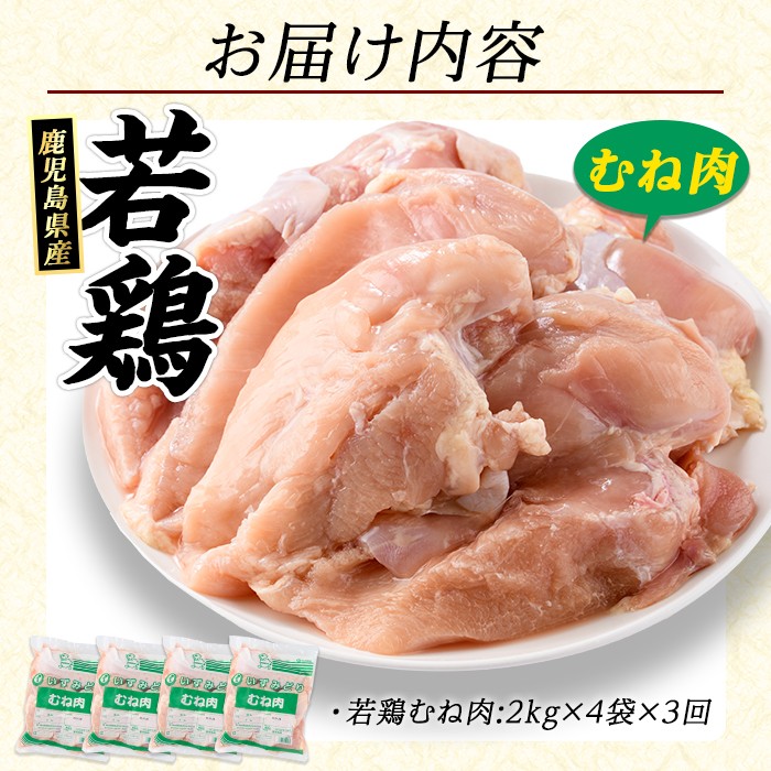 セット内容