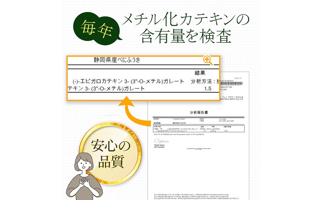 べにふうき茶 粉末茶 1g×100包 計100g｜ お茶 茶 緑茶 べにふうき 小分け スティック 粉茶 粉末緑茶 静岡 静岡茶