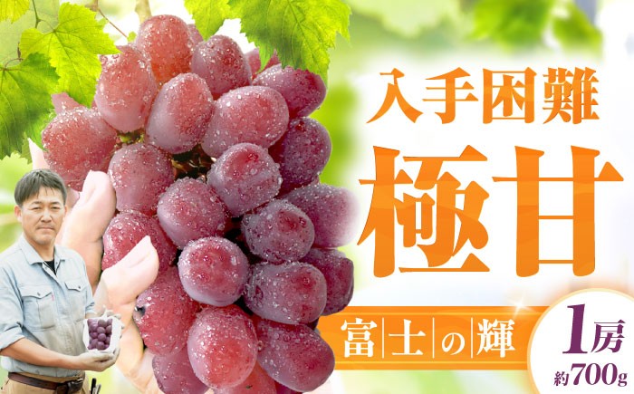 富士の輝 ぶどう ブドウ 葡萄 シャインマスカット 希少品種