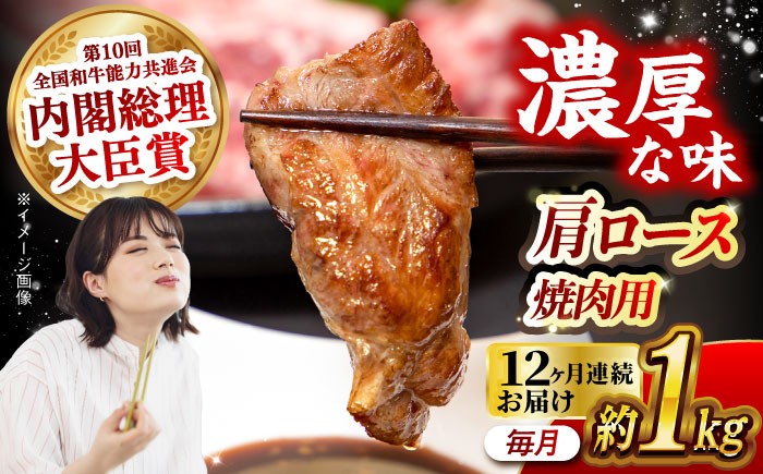 肉 牛 和牛 ロース 焼肉 焼き肉 西海市 長崎 九州 定期便