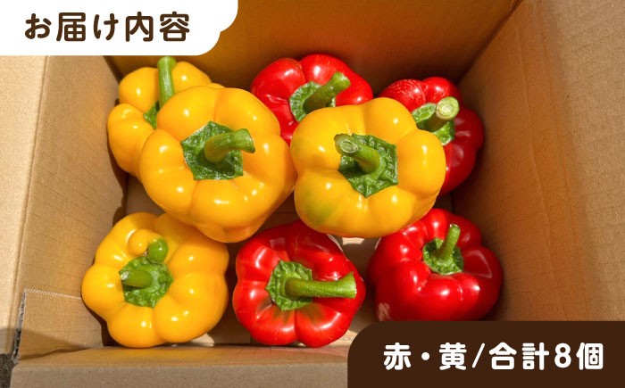 野菜 やさい パプリカ ピーマン 肉厚 生 ピクルス マリネ 肉詰め