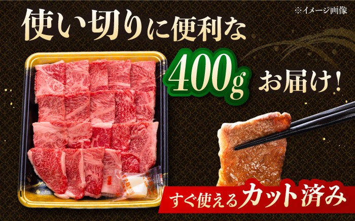 ロース 肉 焼肉 バーベキュー 定期便 国産