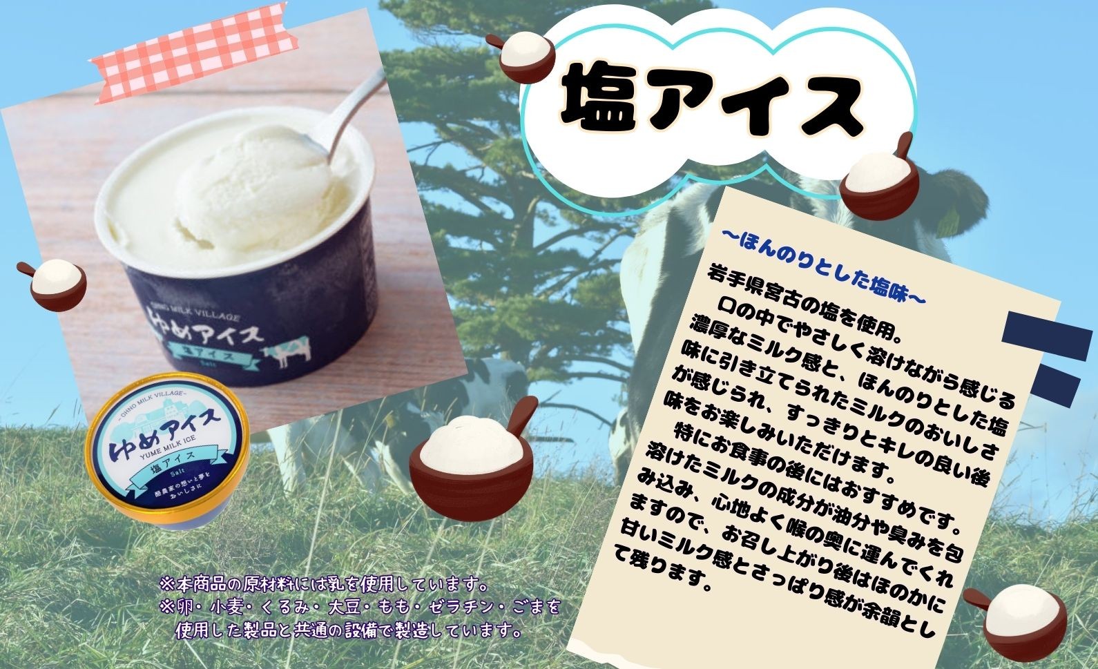 やわらかい塩味が加わりアイスの甘さをより感じられる「塩アイス（塩バニラ）」容量は１つあたり90mlです。
