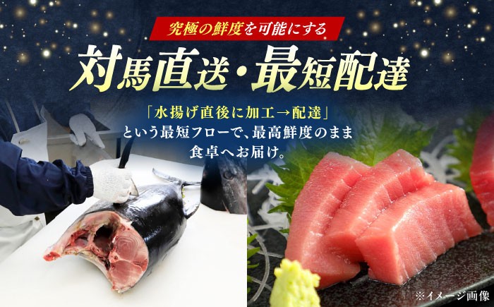 冷凍 マグロ まぐろ 中とろ 鮪 本マグロ 赤身 ねぎとろ トロ 刺身 寿司 海産物 鉄火丼 食べ比べ 海鮮 柵 大とろ 定期便