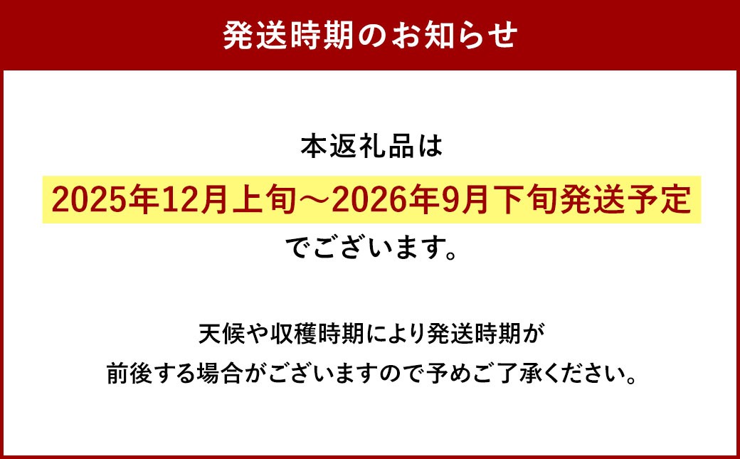 【令和7年産】 球磨郡相良産 ヒノヒカリ 10kg（5kg×2袋）