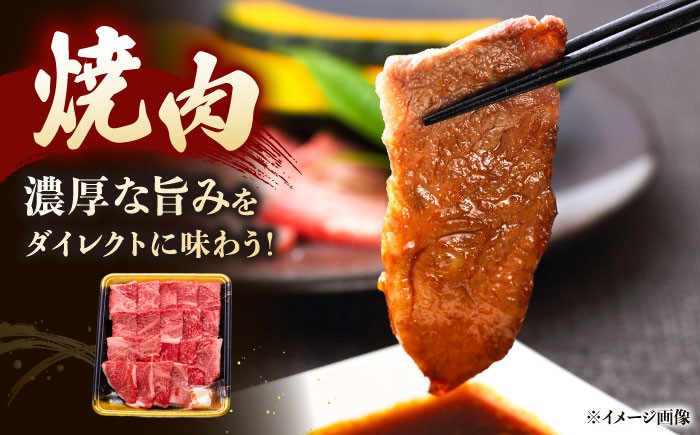 ロース 肉 焼肉 バーベキュー 定期便 国産