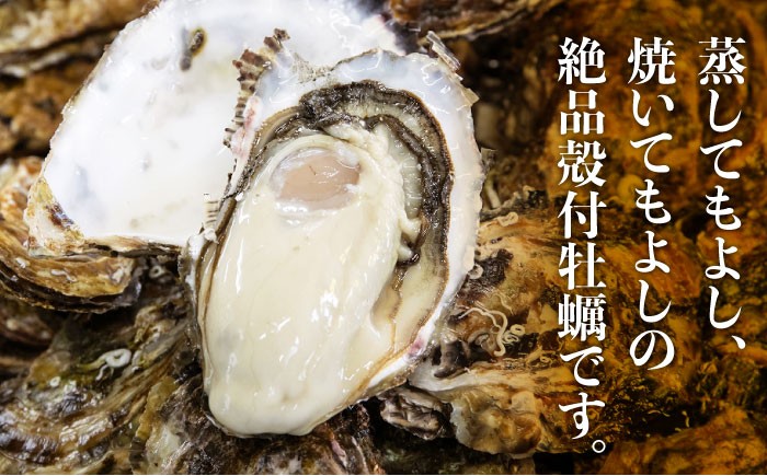 牡蠣 かき カキ 冷凍 加熱用 殻付き 殻付 カンカン焼き 広島牡蠣 オイスター カキフライ 魚介類 海鮮 BBQ バーベキュー