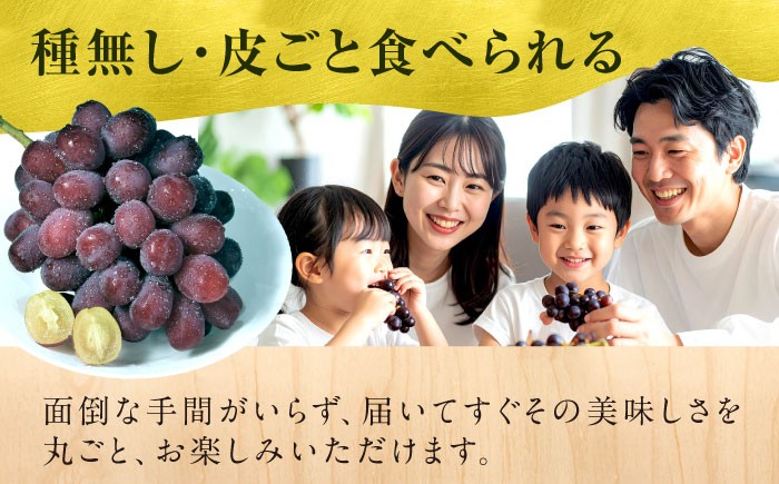 富士の輝 ぶどう ブドウ 葡萄 シャインマスカット 希少品種