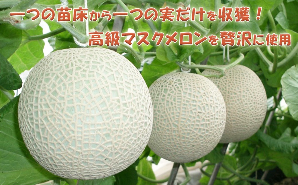 「千葉アクアメロン」は、ひとつの苗からひとつの実だけを育てる贅沢な栽培方法。