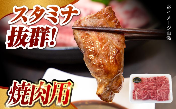 肉 牛 和牛 ロース 焼肉 焼き肉 すき焼き 西海市 長崎 九州 定期便 牛肉  スライス 