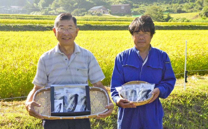  十割生そば そばつゆ セット そば そばつゆ 蕎麦 生そば 生蕎麦 十割そば