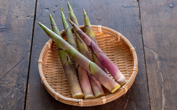 自然いっぱいの八幡平で採れた竹の子（姫竹）です