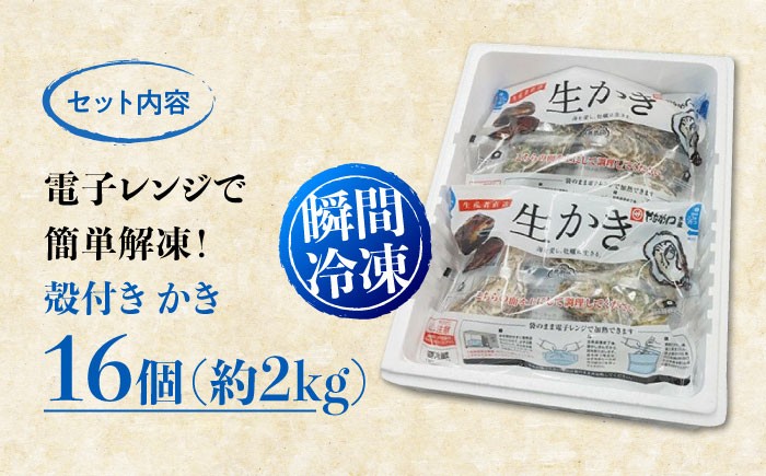 牡蠣 かき カキ 冷凍 加熱用 殻付き 殻付 カンカン焼き 広島牡蠣 オイスター カキフライ 魚介類 海鮮 BBQ バーベキュー