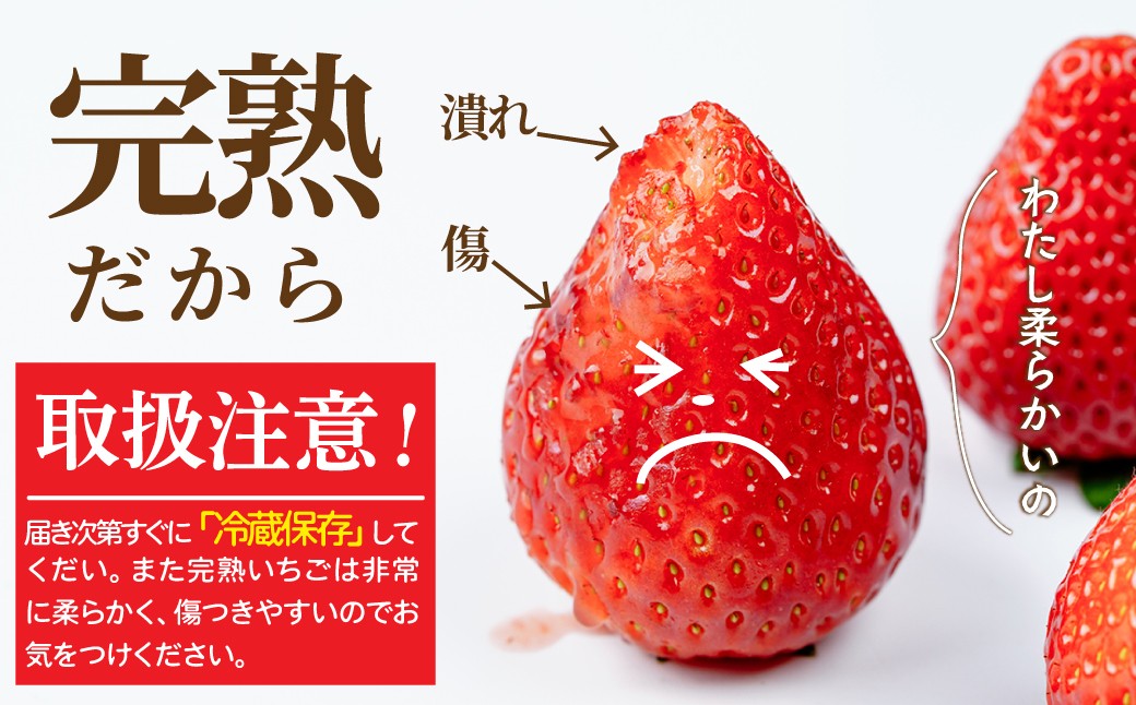 いちご イチゴ 苺 とちあいか 第2回いちご選手権金賞 ブランドいちご ストロベリー 完熟 甘い あまい 果物