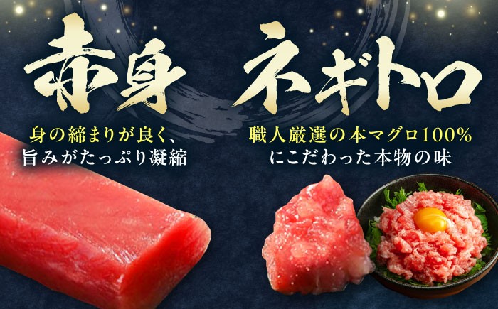 冷凍 マグロ まぐろ 中とろ 鮪 本マグロ 赤身 ねぎとろ トロ 刺身 寿司 海産物 鉄火丼 食べ比べ 海鮮 柵 大とろ 定期便