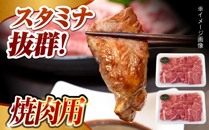  肉 牛 和牛 ロース 焼肉 焼き肉 すき焼き しゃぶしゃぶ 食べ比べ 西海市 長崎 九州 定期便 牛肉  スライス 