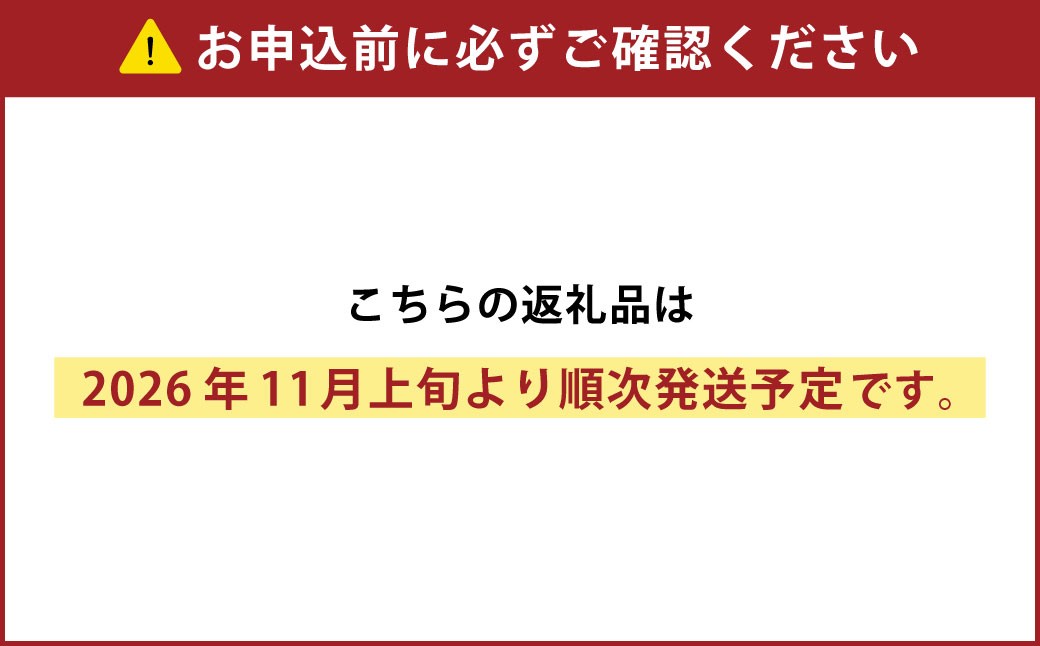 おとふけ産マンゴー「白銀の太陽プレミアム」4Lサイズ×2玉【D28】