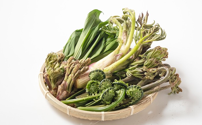 山菜セットもあります