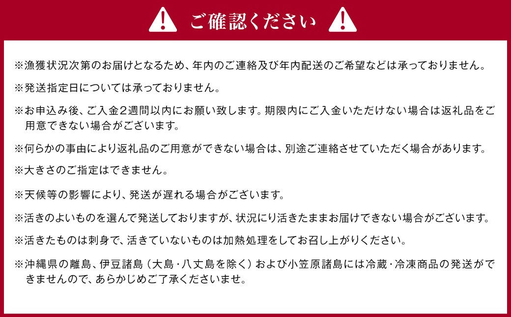 日本唯一 「以西底びき網漁」の活ウチワエビ 1kg 