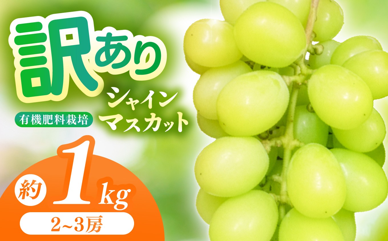 有機栽培　塩尻市桔梗ヶ原産シャインマスカット