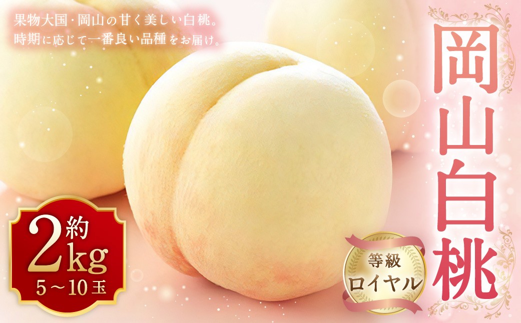 岡山白桃 ロイヤル 5～10玉 約2kg 岡山県産