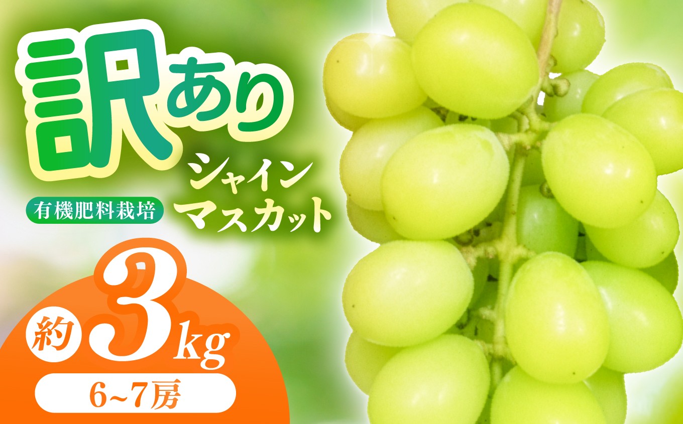 有機栽培　塩尻市桔梗ヶ原産シャインマスカット