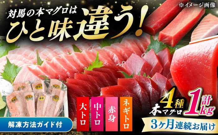  冷凍 マグロ まぐろ 中とろ 鮪 本マグロ 赤身 ねぎとろ トロ 刺身 食べ比べ 海鮮 柵 大とろ 定期便 毎月届く