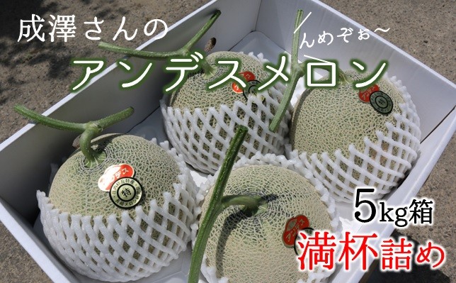 5kg箱にメロンを満杯にしお届けします。3～5玉のお届けです。※玉数のご指定はご遠慮ください。