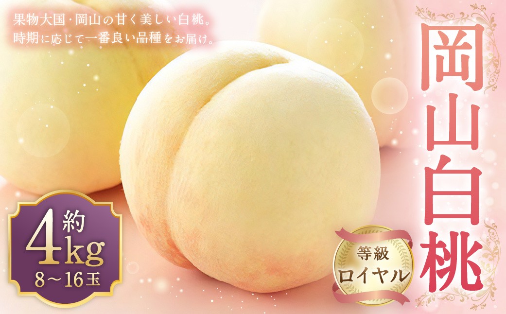 岡山白桃 ロイヤル 8～16玉 約4kg 岡山県産