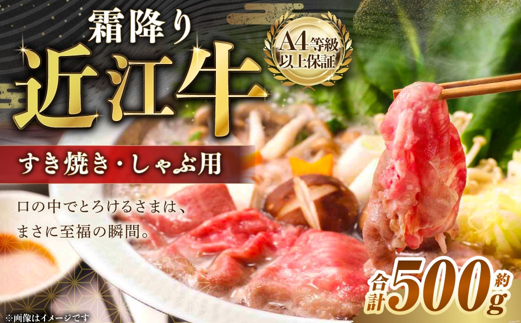 A4等級以上保証！！近江牛ロース・肩すき焼きしゃぶしゃぶ用約500g【近江牛専門店かねきち】