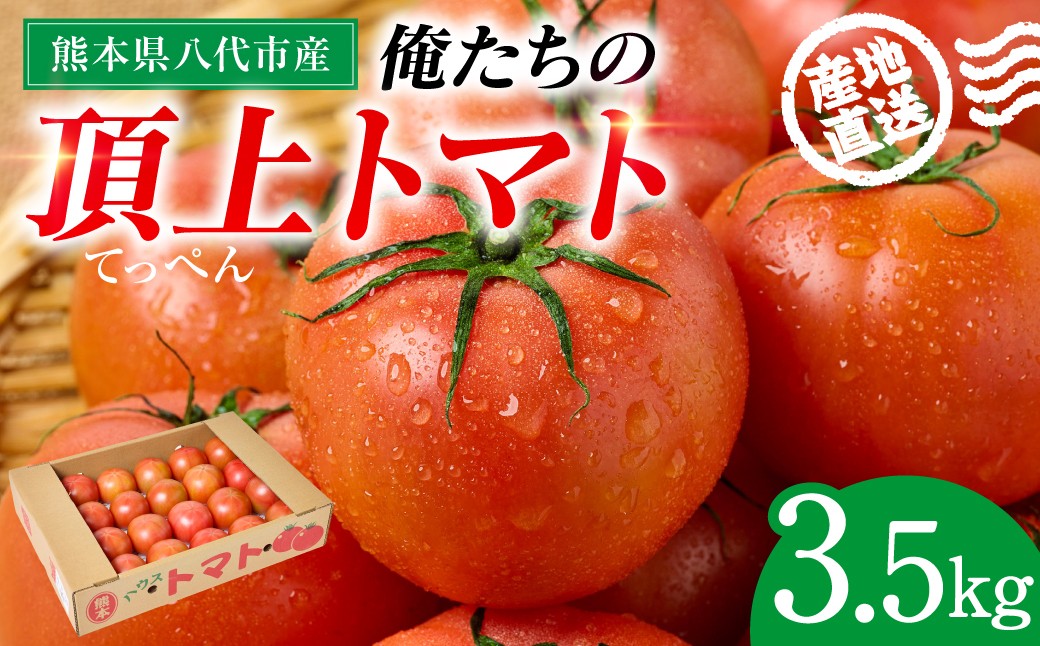 俺たちの頂上トマト