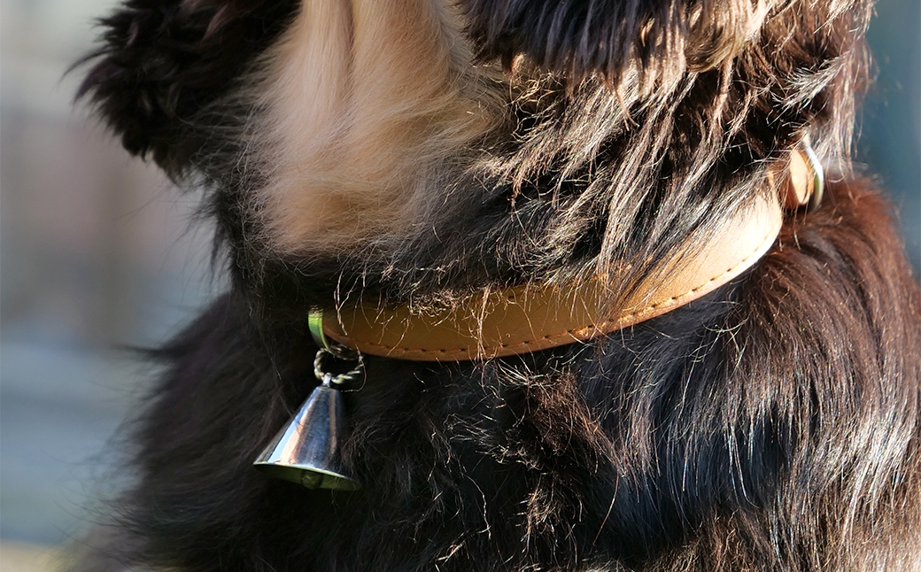 【唯一無二のペットジュエリー】HAPPY BELL 受注生産 シルバー アクセサリー オリジナル ハンドメイド