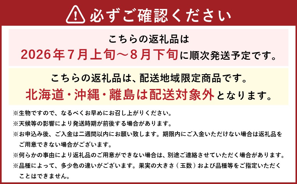 岡山白桃 ロイヤル 4～8玉 約1.2kg 岡山県産