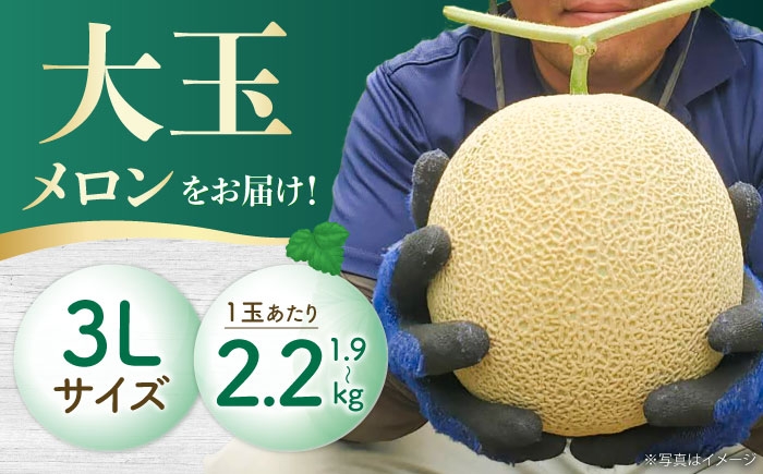 果物 フルーツ 青肉 メロン めろん 長崎 雲仙 甘い お取り寄せ 贈答