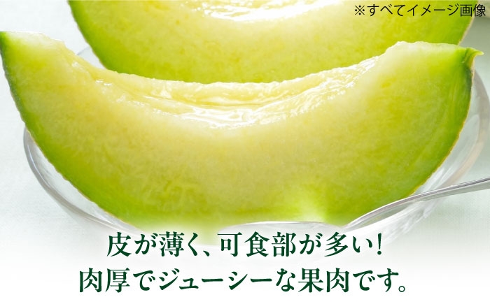 メロン 甘い 濃厚 メロン めろん melon タカミ 貴味 青肉 果物 くだもの 旬 フルーツ 高級 デザート 2玉 3玉