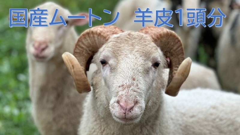 ムートンは毛の間に厚い空気の層を形成し、抜群の暖かさを保つ特性があります