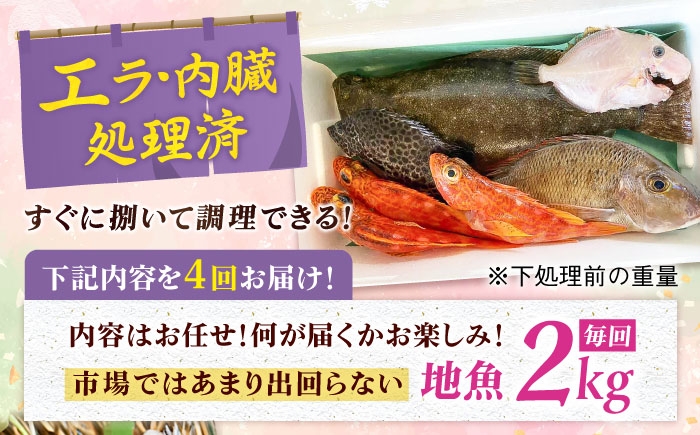 旬 おまかせ 定期便 鮮魚セット 地魚 魚 鮮魚 刺身 セット 詰め合わせ