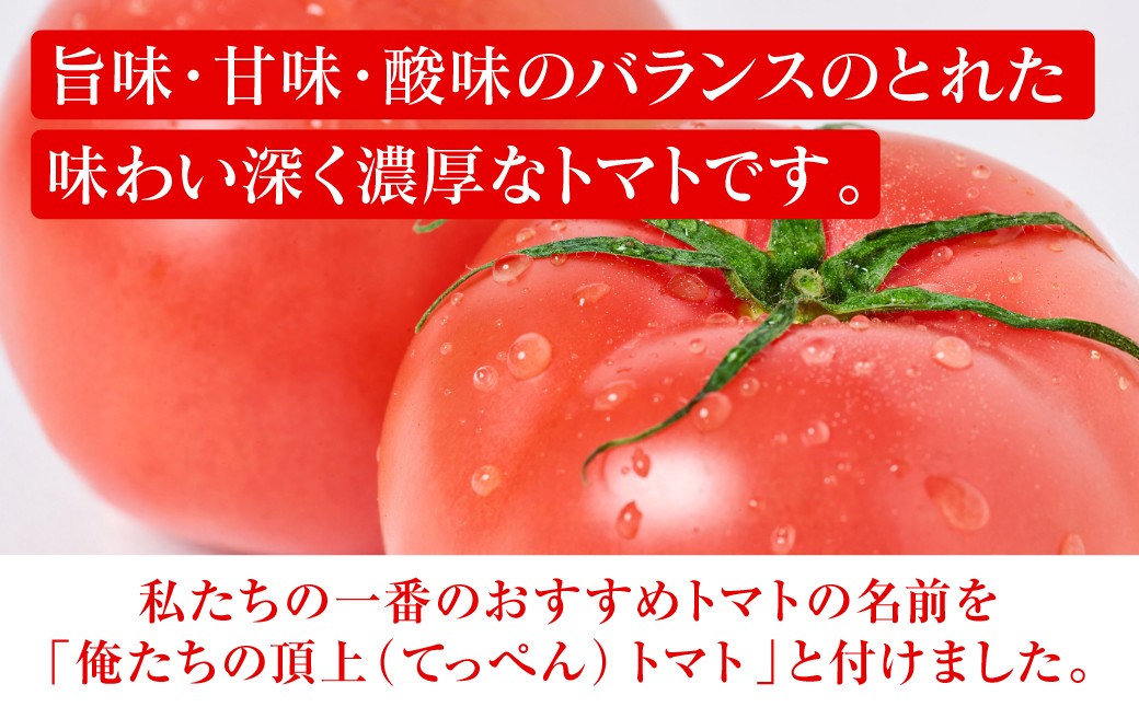 旨味・甘味・酸味のバランスのとれた味わい深く濃厚なトマトです。