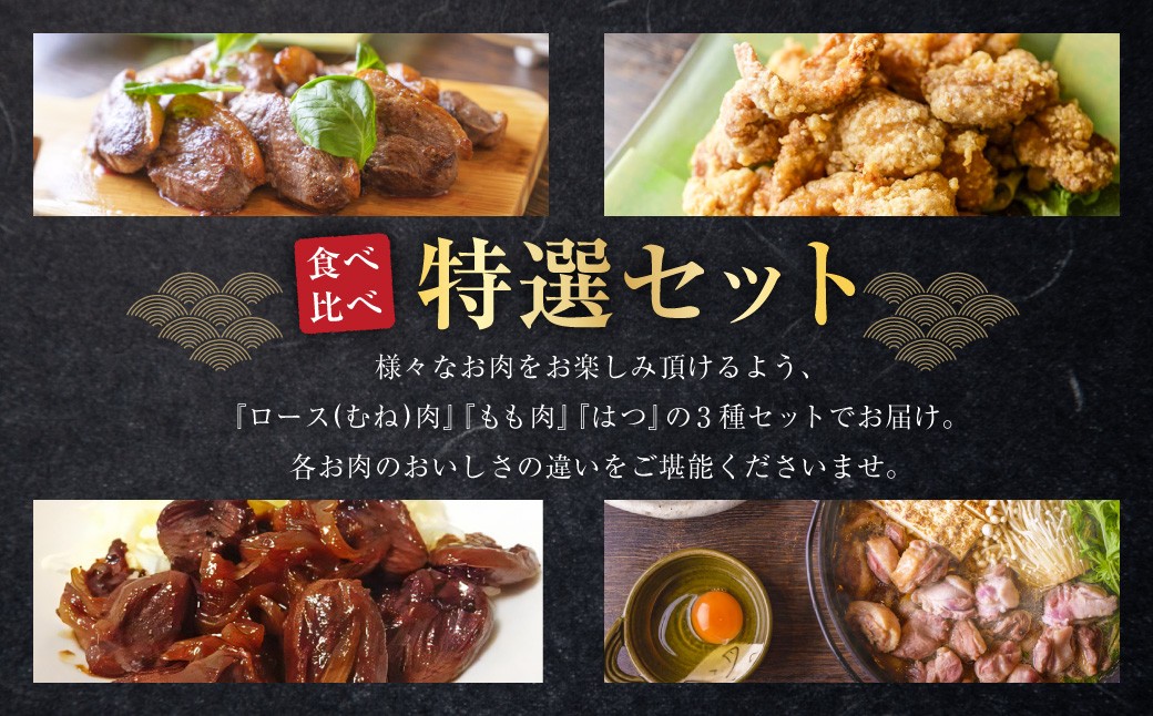 『京鴨』鴨肉 ふるさと 特選 セット（3パック（合計約900g））【配達不可：離島】