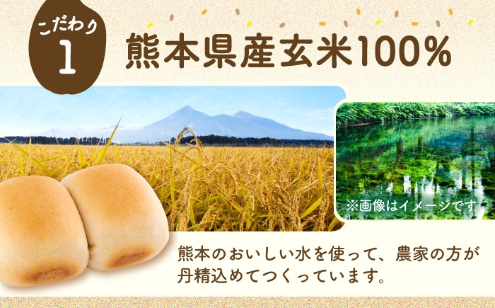 玄米 ぱん 熊本 パン グルテンフリー 栄養 豊富 玄米100% アレルゲン8品目不使用 熊本県 菊陽町