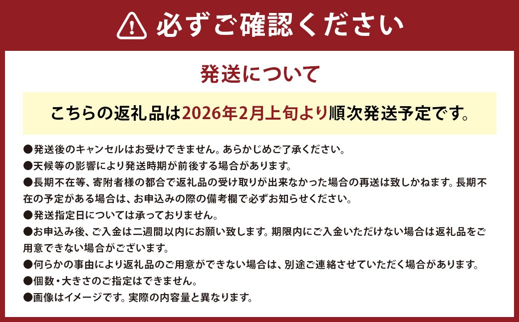 【 3回 定期便 】【2026年2月上旬より順次発送開始】早採り サラダ玉ねぎ （ 優品 ・サイズ混合）　