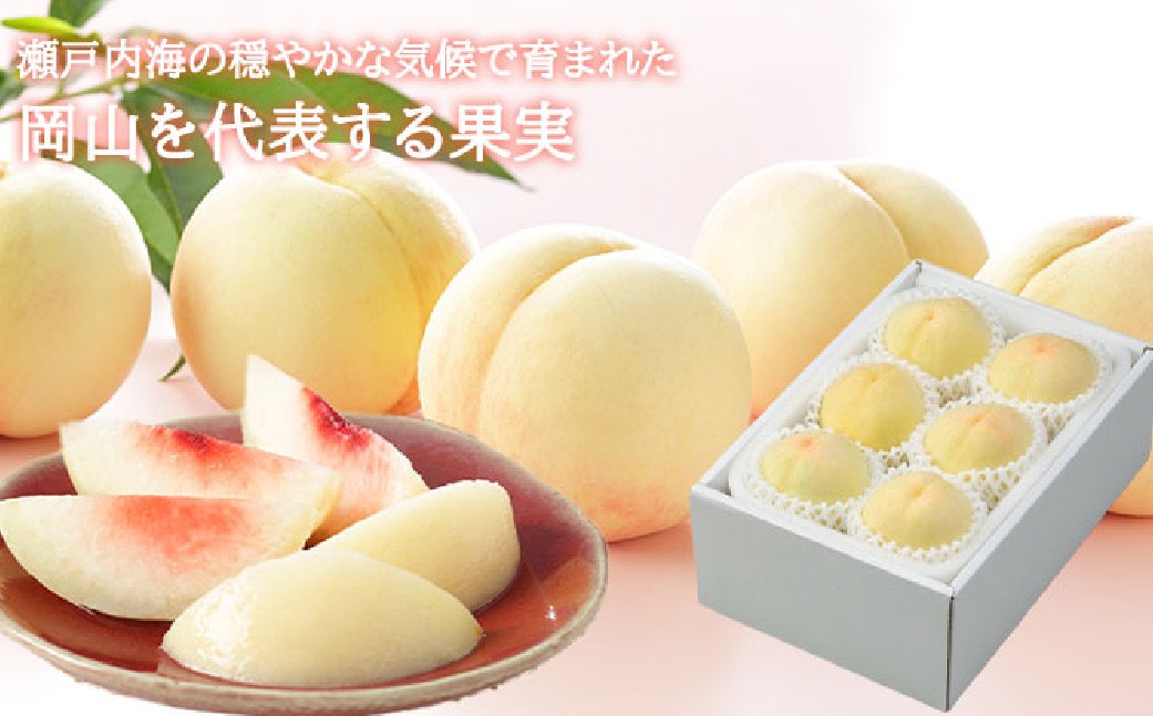 岡山白桃 ロイヤル 4～6玉 約1kg 岡山県産