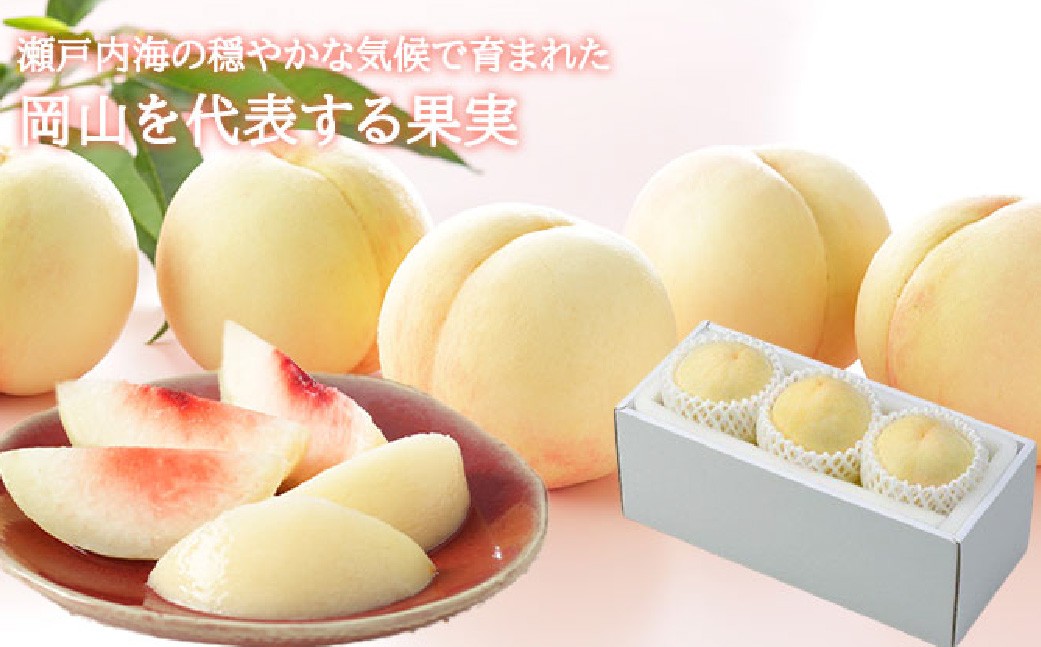 岡山白桃 ロイヤル 3玉×約200g 計約600g 岡山県産
